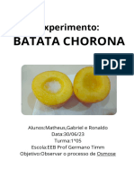 Experimento Batata Chorona