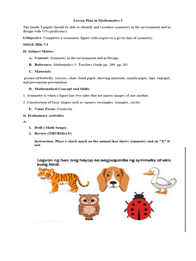 Symmetry Lesson Plan for Grade 3 | PDF | Symmetry | Lesson Plan