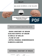 Brain Anatomy CSF Blood Supply