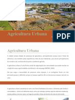 Ricardo Carlos- Agricultura Urbana