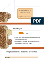 2. Sistema Esqueltico - Aspectos Gerais (4)