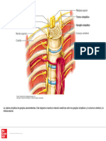 Figure (10)