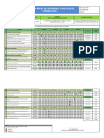 Programa Anual de Seguridad y Salud en El Trabajo 2020 XIN XING