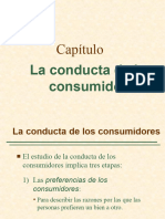 2.elección Del Consumidor RESUMIDA