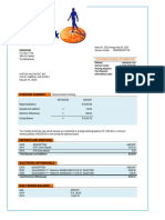Rabobank Bank Organization Account Statement Word and PDF Template