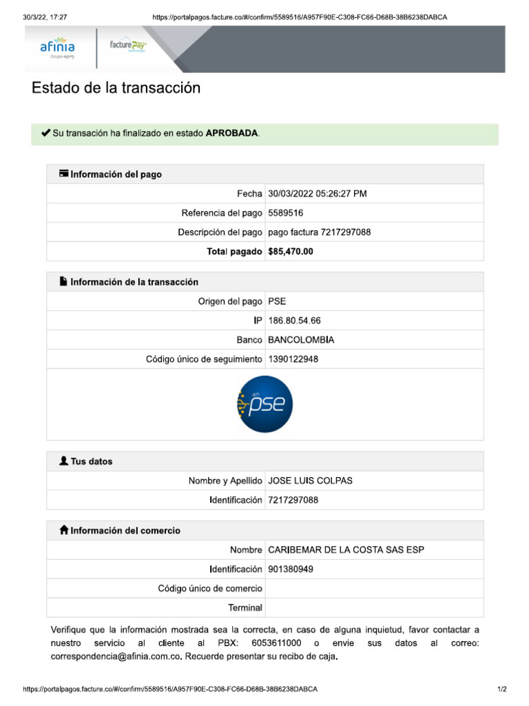Pago Recibo de Luz | PDF