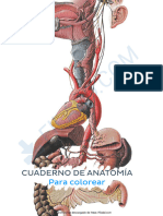 Cuaderno - de - Anatomia - para - Colorear 1
