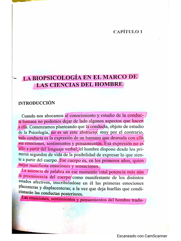 Introduccion A La Biopsicologia Mas Colombo Completo | PDF