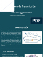 Transcripción