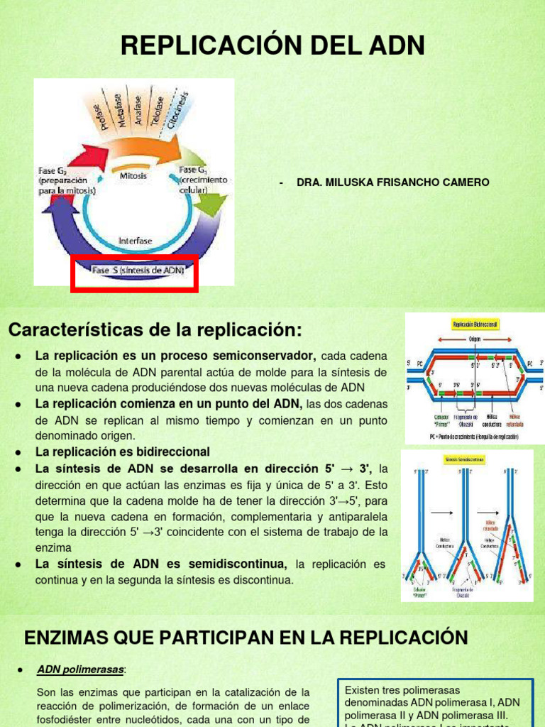 Proceso y Enzimas de Replicación del ADN | PDF | Replicación De Adn ...