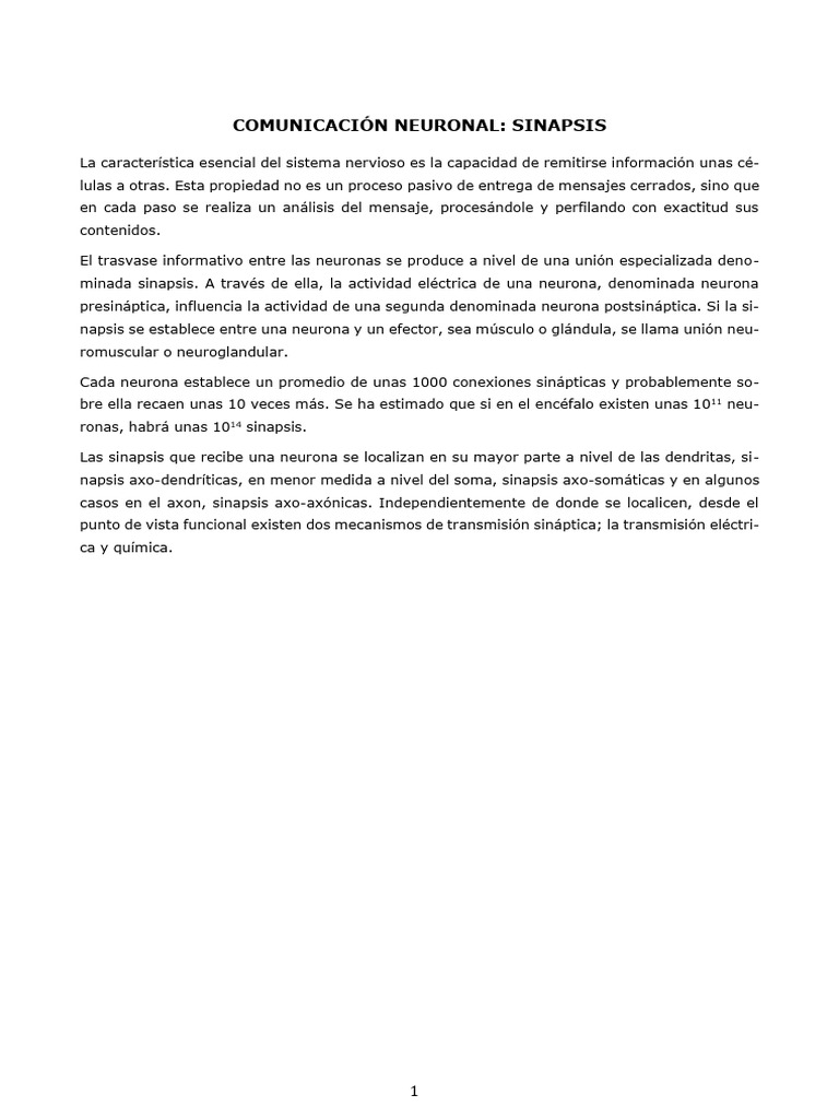 Sinapsis Pdf Sinapsis Sinapsis Química