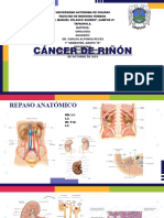 Cáncer Renal