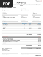 1099 Pay Stub Template