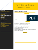 Curriculum Vitae CV Con Foto para Puesto Laboral Moderno Amarillo y Gris