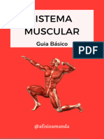 Guia Basico - Sistema Muscular
