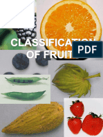 Fruit Type Lab-V2.0f