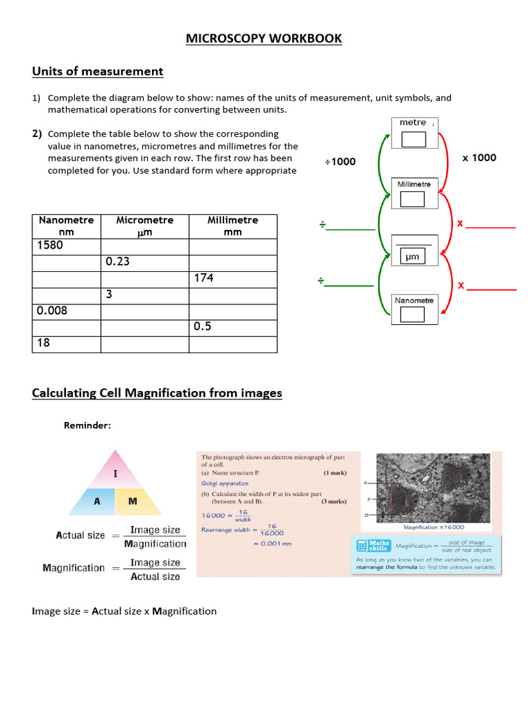 Micrsoscopy Workbook GLY | PDF | Teaching Methods & Materials | Computers