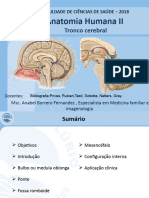 Aula Anatomia II - Tronco Encefálico