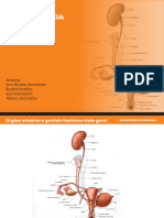 Incontinencia Urinaria PDF