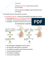 Módulo 8.respiraçãodocx