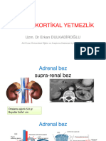 7 Adrenal Yetmezlik - Erkan Dulkadiroğlu