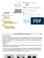 Mitose (1) Controle Corrigé