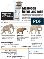 Comparing Mammoth, Mastodon and Elephant
