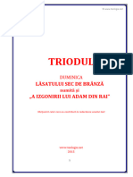 Triod Branza Adam Rai