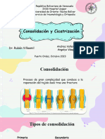 Consolidacion y Cicatrización (HU)