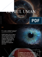 Ochiul Uman
