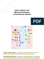 Lecture - Cells Tissues and Organs - Immunology