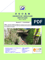 Sgoam: Inspection Detaillee Periodique