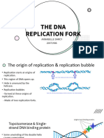 DNA Replication Fork