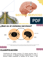 Sistema Nervioso