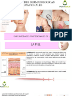 Enfermedades Dermatologicas Ocupacionales y Osteomusculares