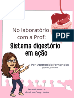 Sistema Digestorio