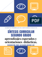 Síntesis: Aprendizajes Esperados Orientaciones