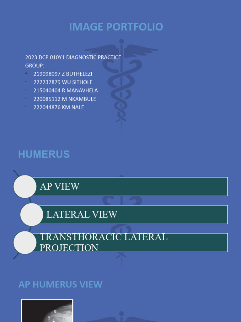 Humerus and Shoulder Imaging Guide | PDF | Shoulder | Thorax