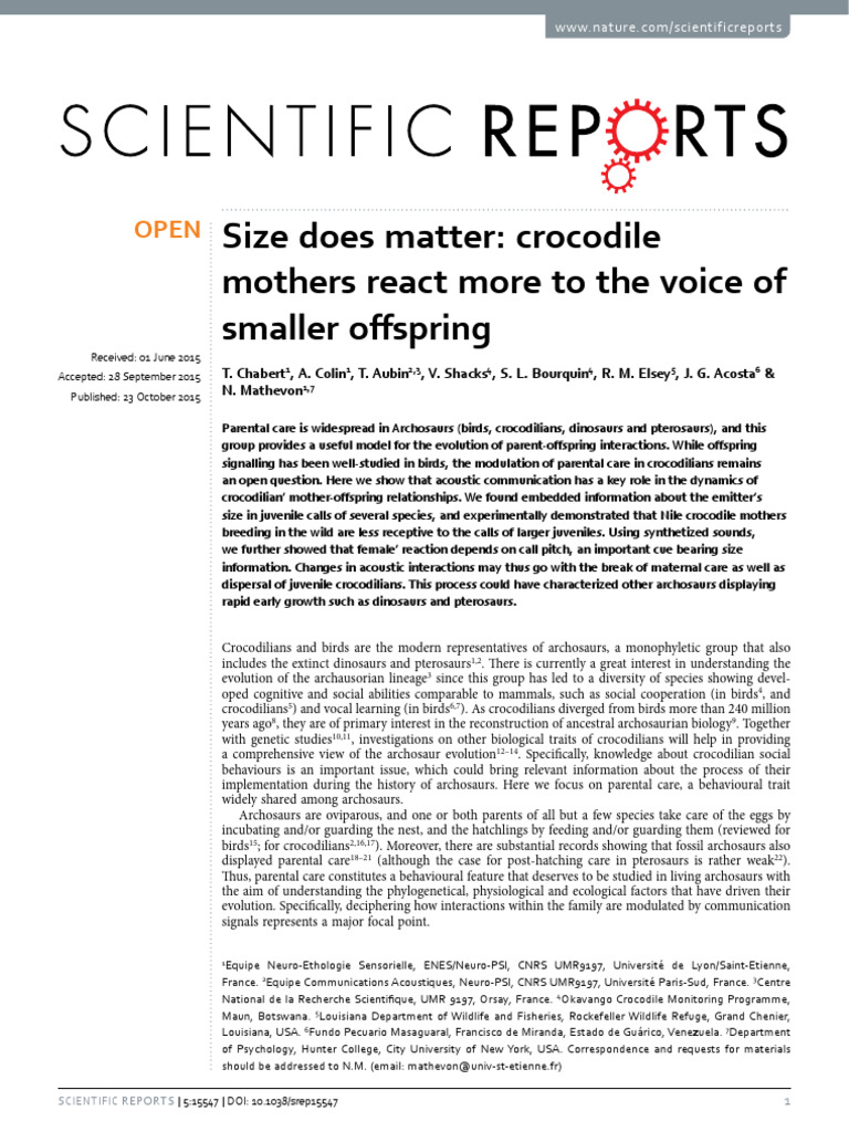 size-does-matter-crocodile-mother-react-to-smaller-size-offspring