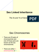 Sex-Linked Inheritance - Copy