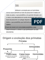 Evolução humana