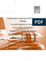 Ensayo Reforma Contituciona 2011