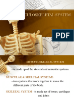 PPT-SCI-musculoskeletal System