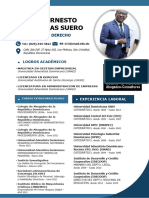 Manuel Ernesto Arciniegas Suero - Curriculum CV