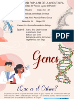 Genes - Equipo 3