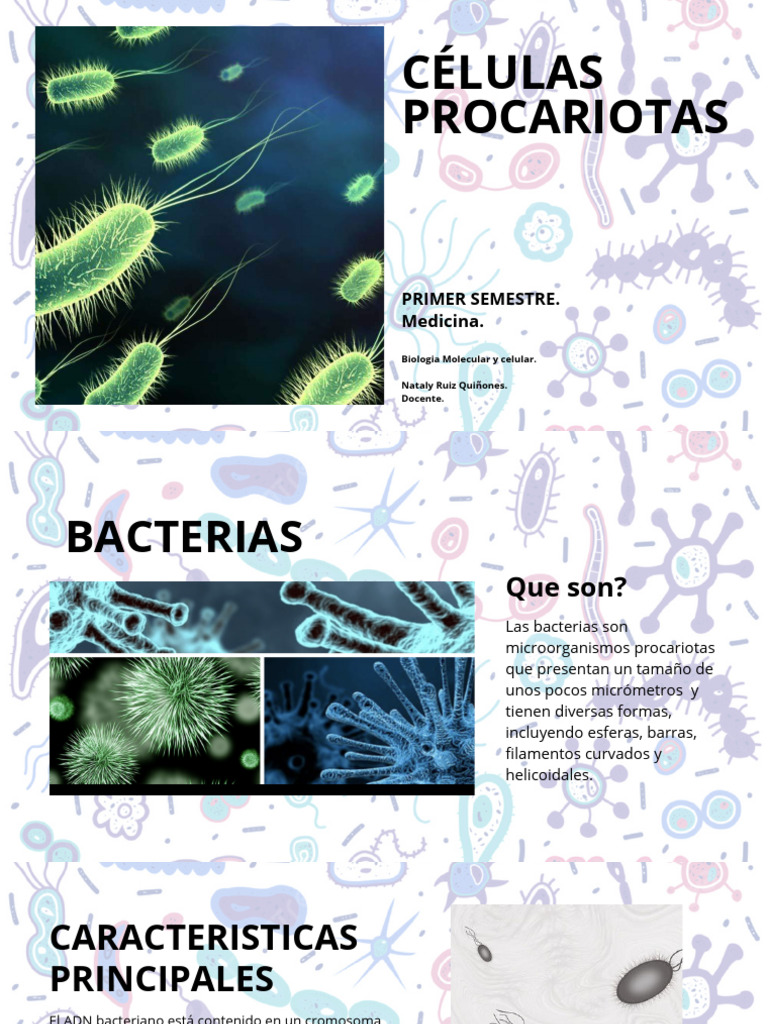 Organismo Procariotas | Descargar gratis PDF | Las bacterias | Biología ...