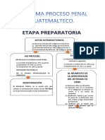 Esquema Proceso Penal