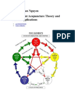 Five Element Acupuncture Theory and Clinical Applications