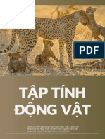 Tập Tính Ở Động Vật 2