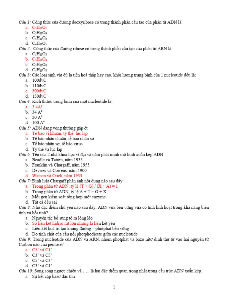 Ã - N Thi 1 | PDF